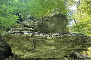 1590 Shulls Mill Rd, Boone, NC 28607 - Photo 20