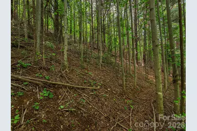 5622 Dutch Cove Road, Canton, NC 28716 - Photo 14