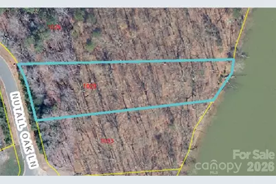 1029 Nutall Oak Lane, Belmont, NC 28012 - Photo 8