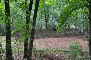 3909 Wightman Church Rd, Polkton, NC 28135 - Photo 46