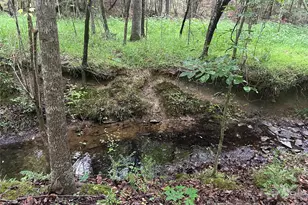3909 Wightman Church Rd, Polkton, NC 28135 - Photo 42