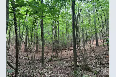 3909 Wightman Church Road, Polkton, NC 28135 - Photo 40