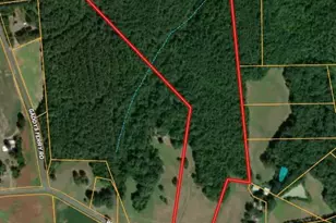 3909 Wightman Church Rd, Polkton, NC 28135 - Photo 48