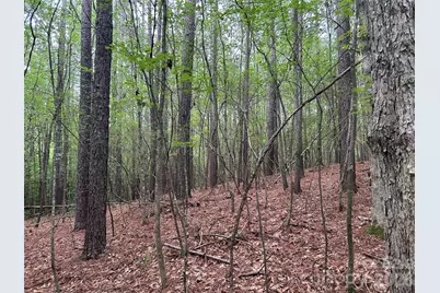 3909 Wightman Church Road, Polkton, NC 28135 - Photo 44