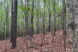 3909 Wightman Church Rd, Polkton, NC 28135 - Photo 44