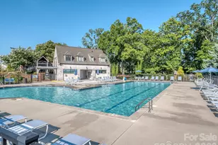 11027 Wrigley Mansion Dr, Charlotte, NC 28273 - Photo 34