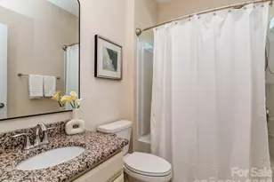 11027 Wrigley Mansion Dr, Charlotte, NC 28273 - Photo 24