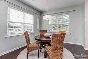 11027 Wrigley Mansion Dr, Charlotte, NC 28273 - Photo 10