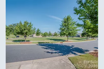 11027 Wrigley Mansion Drive, Charlotte, NC 28273 - Photo 4