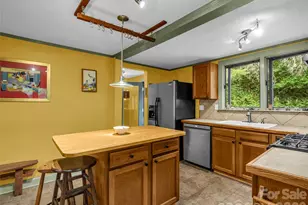 2212 Green River Rd, Zirconia, NC 28790 - Photo 16