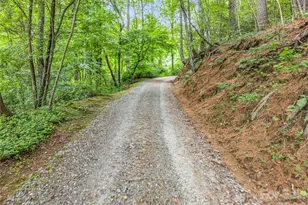 2212 Green River Rd, Zirconia, NC 28790 - Photo 46