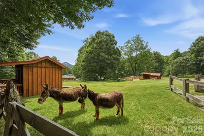 248 Brannon Forest Drive, Waynesville, NC 28785 - Photo 34