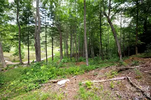 Wr 29 Sierra Trail, Elk Park, NC 28622 - Photo 16