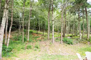 Wr 29 Sierra Trail, Elk Park, NC 28622 - Photo 26