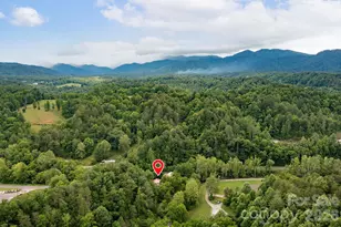 2896 Old Mars Hill Hwy, Weaverville, NC 28787 - Photo 36