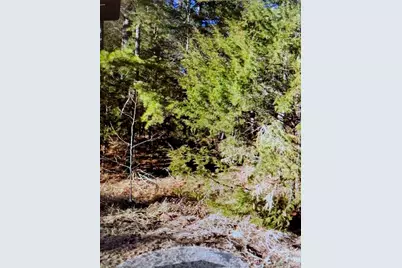 1220 Long Pine Church Road, Peachland, NC 28133 - Photo 2