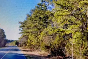 1220 Long Pine Church Rd, Peachland, NC 28133 - Photo 1