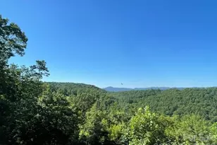 1300 Towery Trace, Ellenboro, NC 28040 - Photo 22