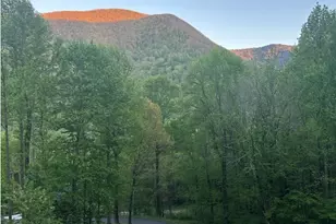 302 Davy Crockett Dr, Maggie Valley, NC 28751 - Photo 4