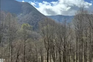 302 Davy Crockett Dr, Maggie Valley, NC 28751 - Photo 6