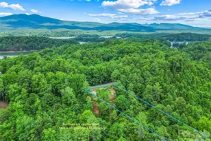 678 Forest Lake Heights Dr, Nebo, NC 28761 - Photo 30