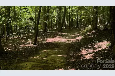 9818 S Nc 9 Lane, Columbus, NC 28722 - Photo 12