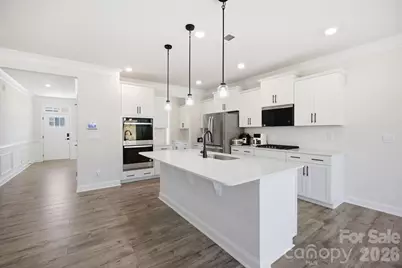 125 Saidin Lane, Troutman, NC 28166 - Photo 10