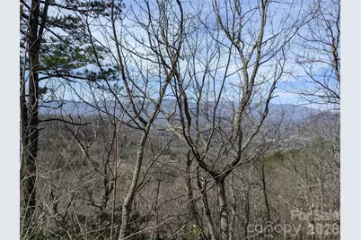 124 Settings Boulevard, Black Mountain, NC 28711 - Photo 4