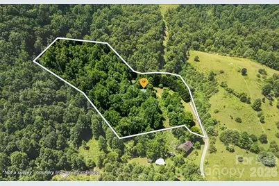 128 Barnet Mountain Drive, Marshall, NC 28753 - Photo 4