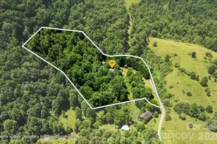128 Barnet Mountain Dr, Marshall, NC 28753 - Photo 4