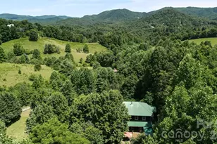 128 Barnet Mountain Dr, Marshall, NC 28753 - Photo 12
