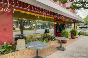 335 E Tremont Ave, Charlotte, NC 28203 - Photo 40