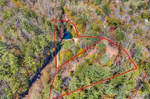 226 Fish Pond Ln, Burnsville, NC 28714 - Photo 46