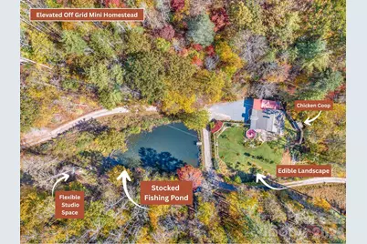 226 Fish Pond Lane, Burnsville, NC 28714 - Photo 2