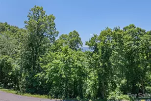 283 Blake Dr, Canton, NC 28716 - Photo 34