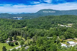 2603 Kim Miller Rd, Lake Toxaway, NC 28747 - Photo 4