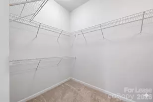 2316 Celandine Way, Fort Mill, SC 29708 - Photo 20