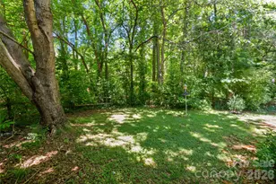 1303 Long Grass Ct, Charlotte, NC 28216 - Photo 32