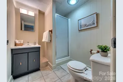 101 Upper Grouse Ridge Road, Beech Mountain, NC 28604 - Photo 38
