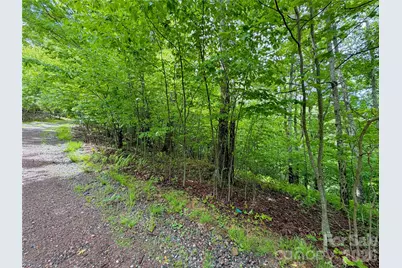 Tbd Grandfather Watch Lane, Banner Elk, NC 28607 - Photo 2
