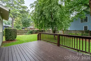 1128 E 35th St, Charlotte, NC 28205 - Photo 44