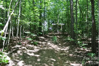 779 Thermal City Road, Union Mills, NC 28167 - Photo 32