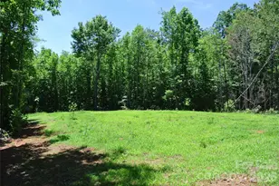 779 Thermal City Rd, Union Mills, NC 28167 - Photo 34