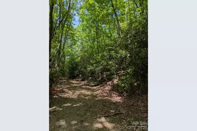 000 Pisgah Highway, Candler, NC 28715 - Photo 4