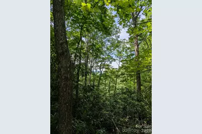 000 Pisgah Highway, Candler, NC 28715 - Photo 2
