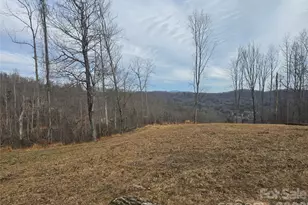 1480 Davis Mountain Rd, Hendersonville, NC 28739 - Photo 32