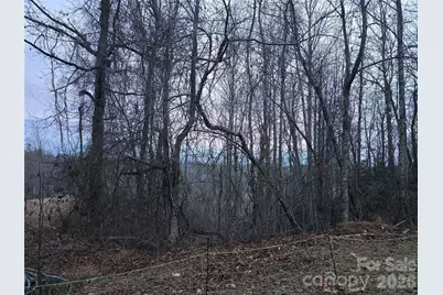 1480 Davis Mountain Road, Hendersonville, NC 28739 - Photo 10