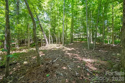 9 Tall Pines Road, Hendersonville, NC 28739 - Photo 40