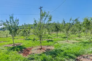 1418 Landis Ln, Nebo, NC 28761 - Photo 44