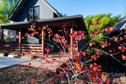 12 Waverly Road, Asheville, NC 28803 - Photo 20